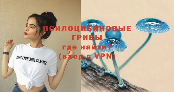 тгк Алзамай