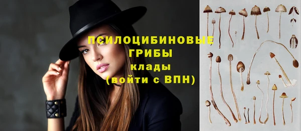 твердый Алексеевка