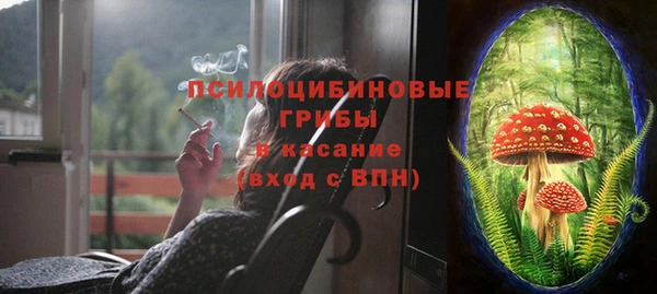 тгк Алзамай